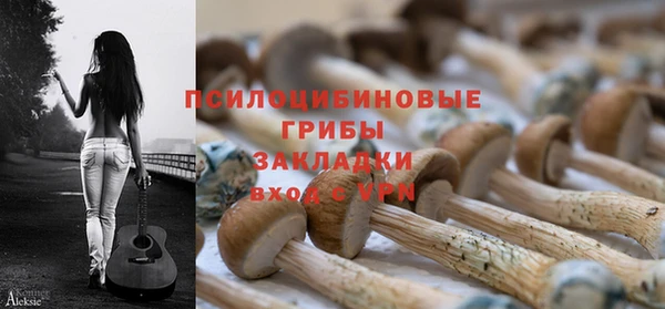 меф Няндома