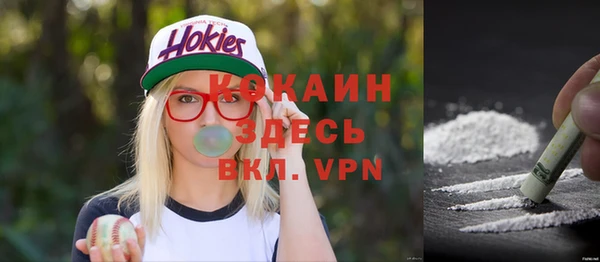 меф Няндома