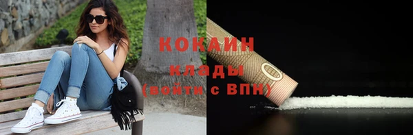 ПСИЛОЦИБИНОВЫЕ ГРИБЫ Осинники