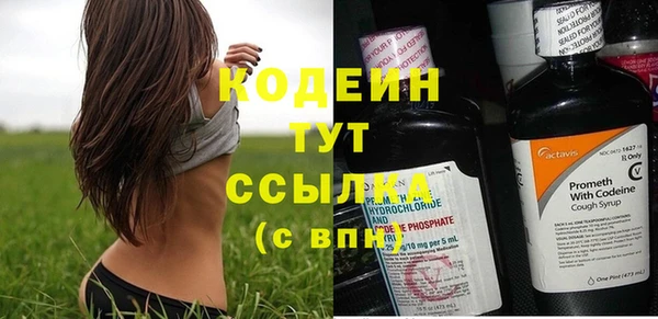 ПСИЛОЦИБИНОВЫЕ ГРИБЫ Осинники