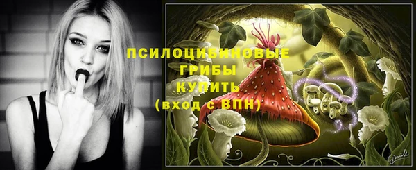меф Няндома