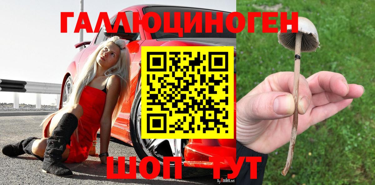 Псилоцибиновые грибы мицелий  Балабаново  Галлюциногенные грибы MAGIC MUSHROOMS 