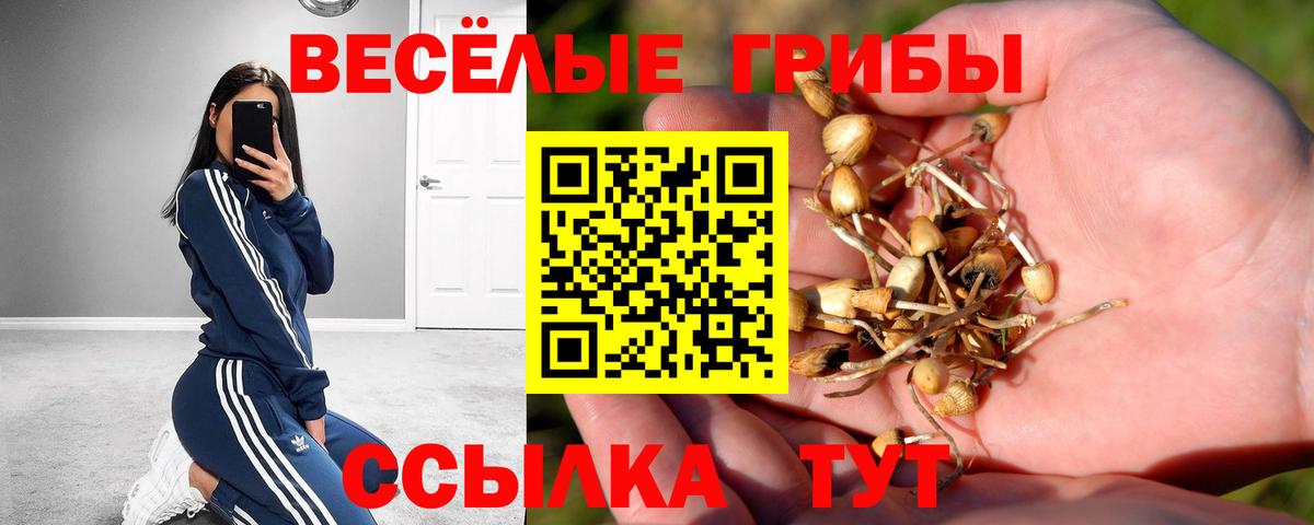 Галлюциногенные грибы Magic Shrooms Балабаново